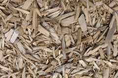 biomass boilers Whitelees